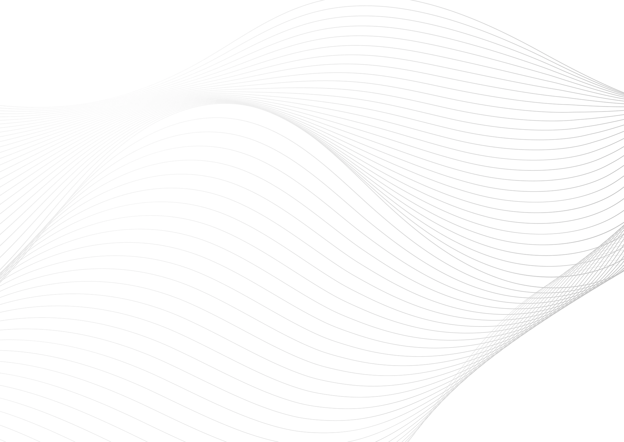 Web Site Tasarımcısı, Sarayönü